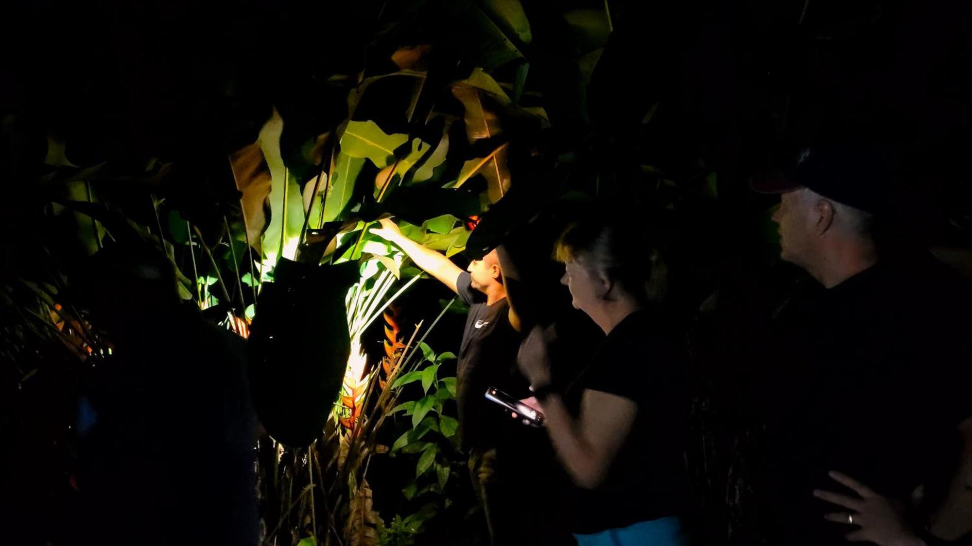 Chalets Silencio Del Bosque La Fortuna Kültér fotó
