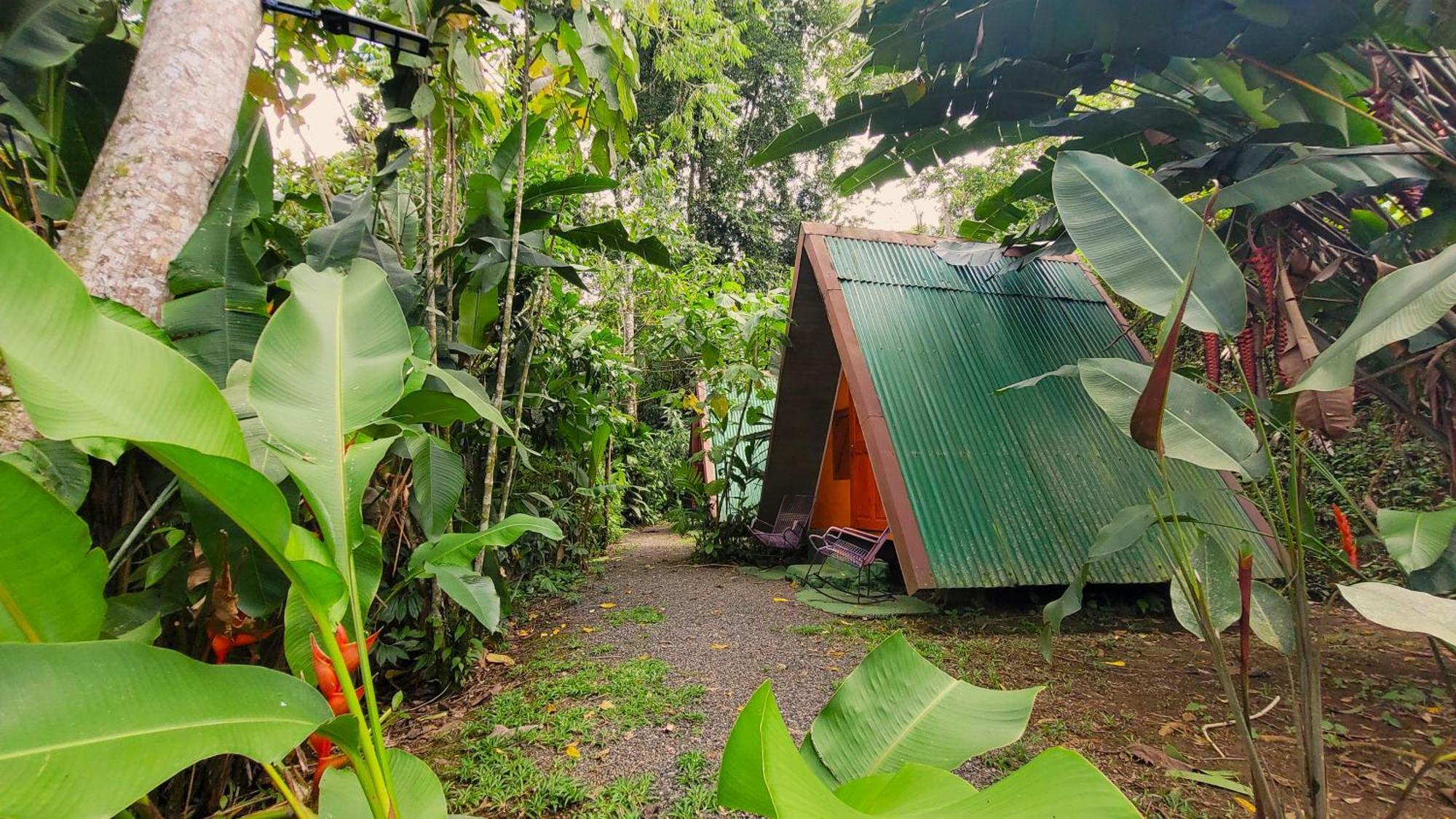 Chalets Silencio Del Bosque La Fortuna Kültér fotó